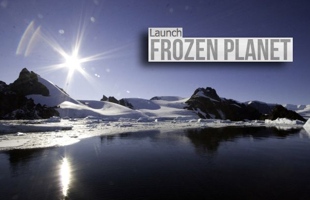 Frozen Planet, descubre el Ártico y la Antártida con este mapa interactivo