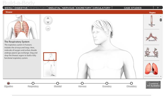 Build a Body, aplicación web interactiva para construir un cuerpo humano