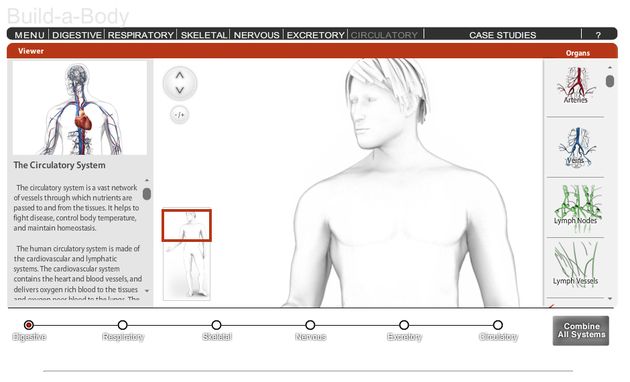 Build a Body, aplicación web interactiva para construir un cuerpo humano