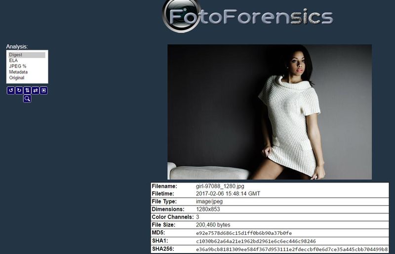 FotoForensics: análisis forense online para descubrir si una foto ha sido manipulada