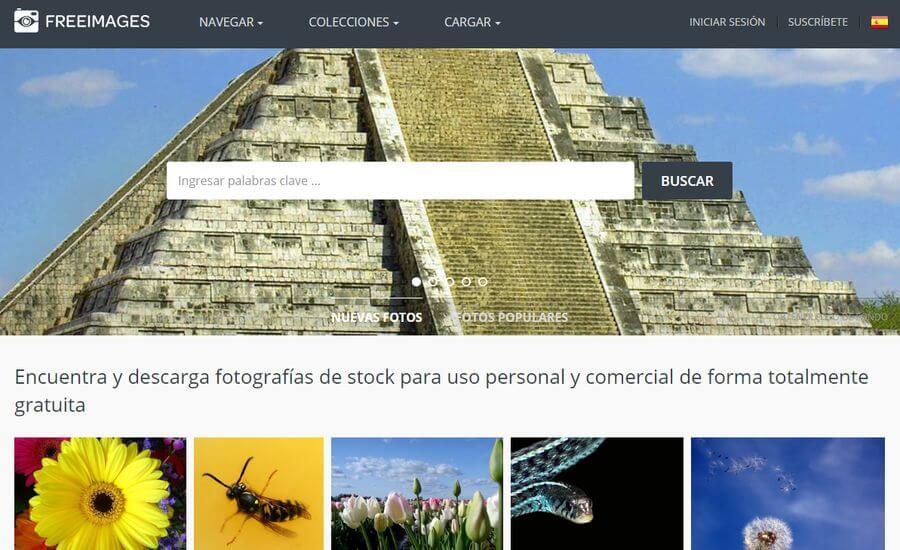 Fotografías de stock gratis en un banco de más de 300000 imágenes