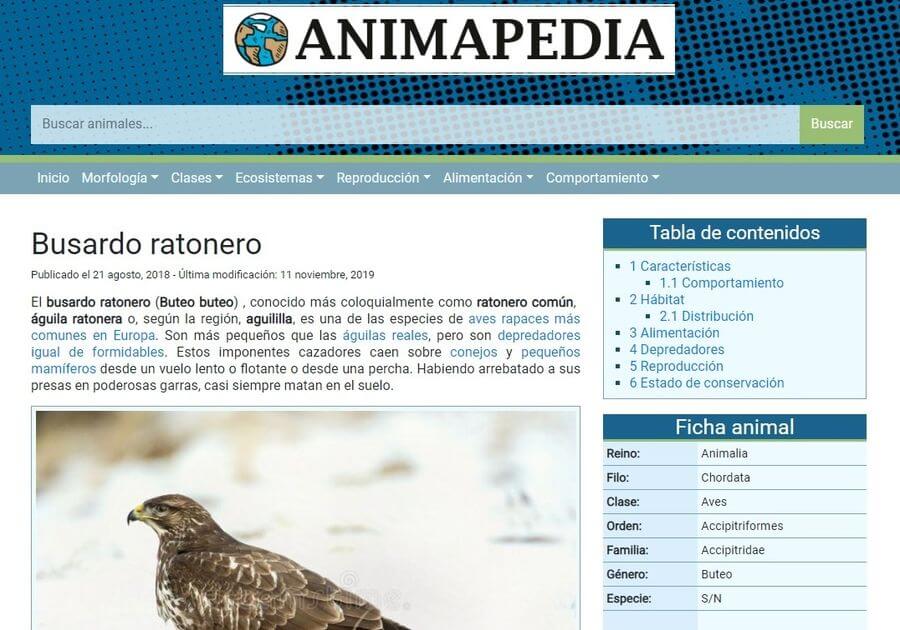 Enciclopedia online de animales con todo lo que quieres saber sobre ellos