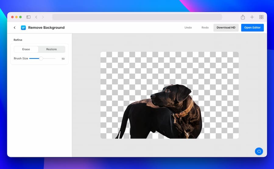Pixelcut Background Remover: eliminar fondo de tus fotos gratis