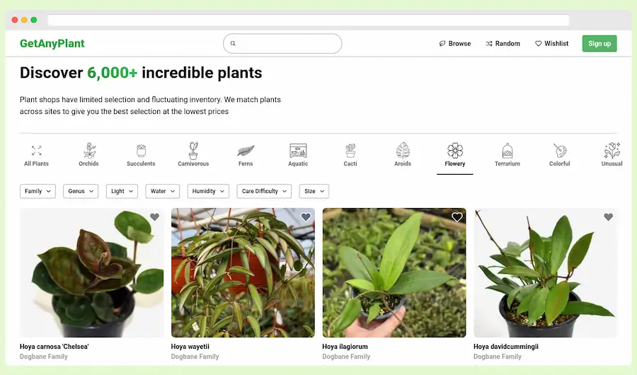 GetAnyPlant: guía completa del mundo de las plantas